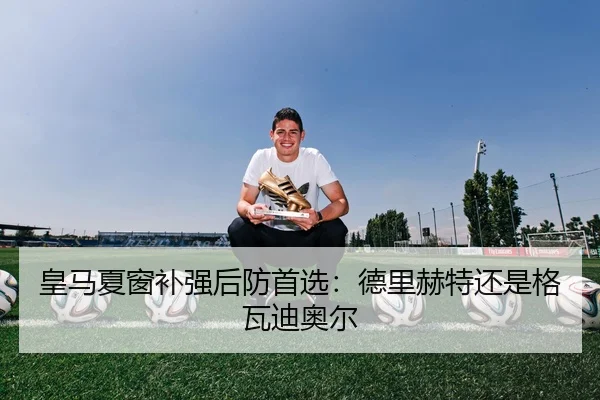 皇马夏窗补强后防首选：德里赫特还是格瓦迪奥尔